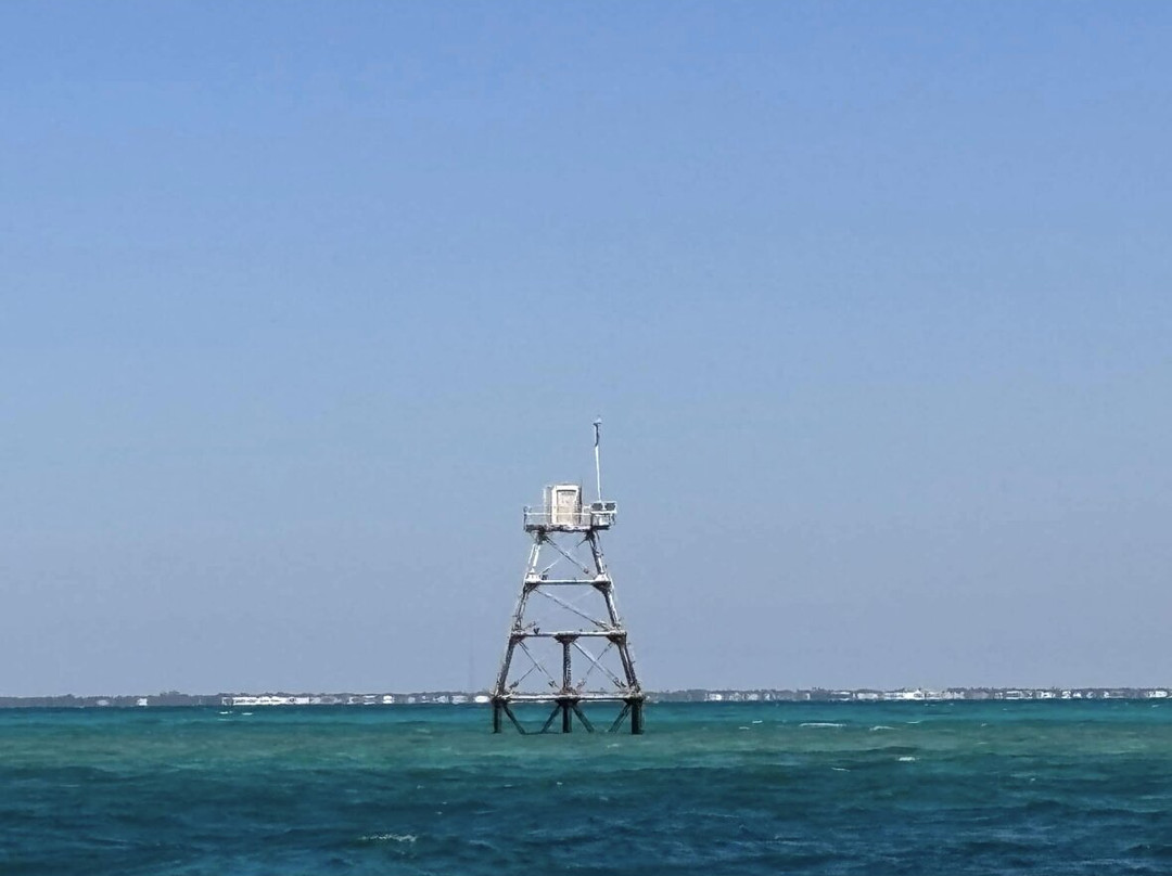 Conch Republic Divers-Tavernier必去景点