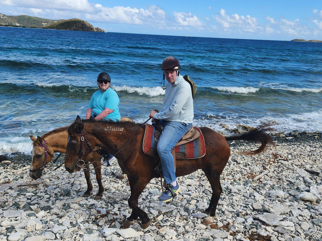 Carolina Corral-Coral Bay必去景点