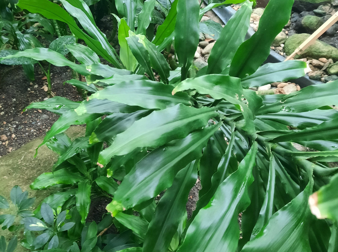 Biosphäre Potsdam-波茨坦必去景点