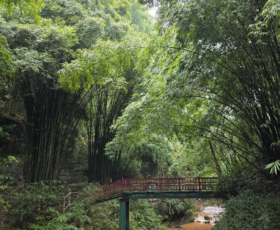 金鸡谷景点图片