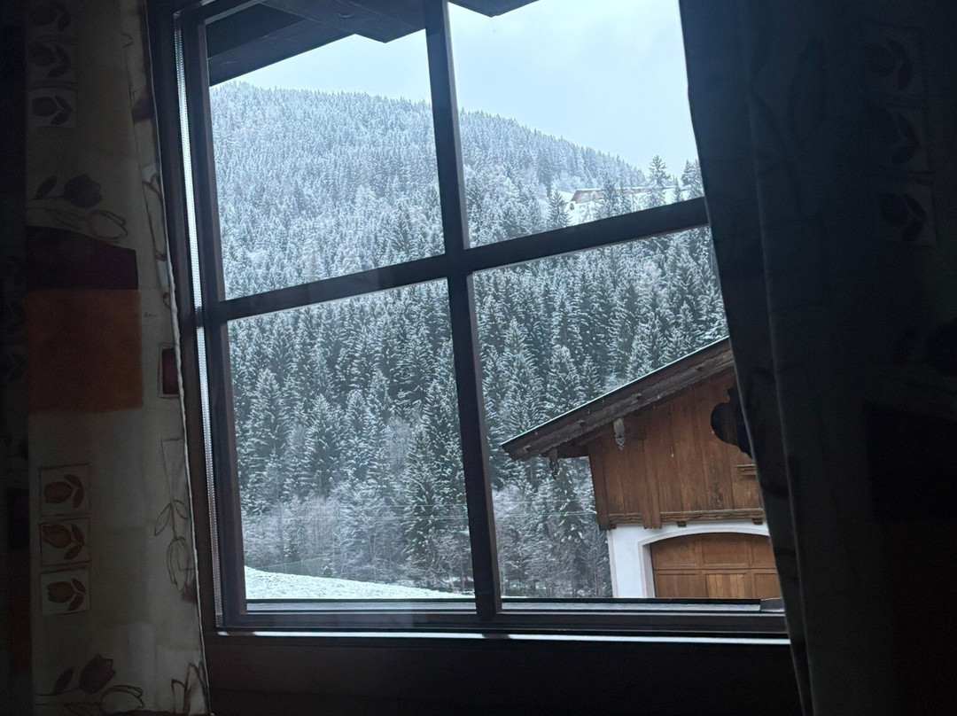 Furstenhof Guest House主图