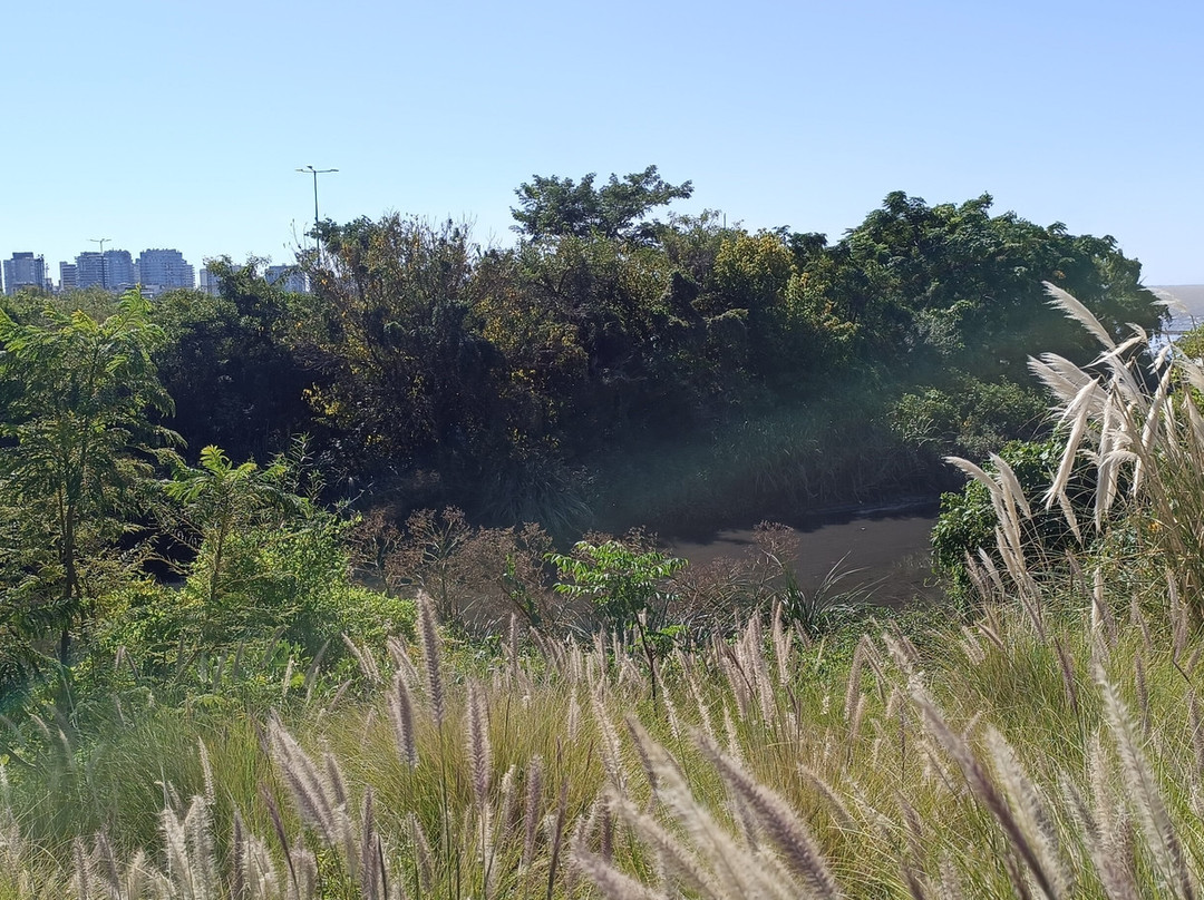 Reserva Ecológica Vicente Lopez-Vicente Lopez必去景点