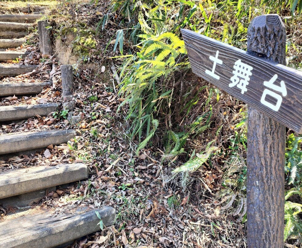 Soil Stage-樱井市必去景点