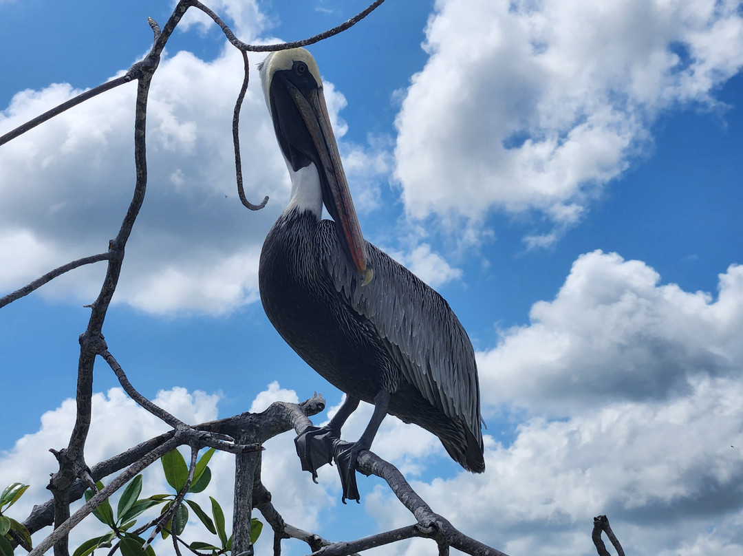 Kajol Lavan Travel, Galapagos Islands-Baltra必去景点
