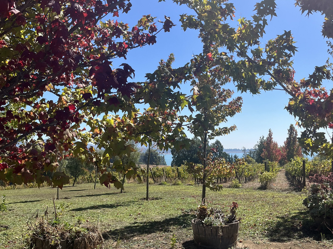 Experiencia Laberinto-Colbun必去景点