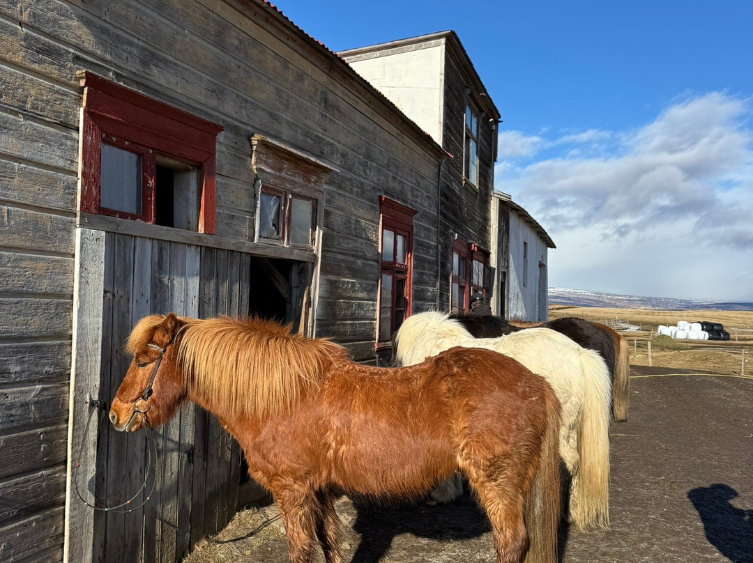 Eyjardalsa-胡萨维克必去景点