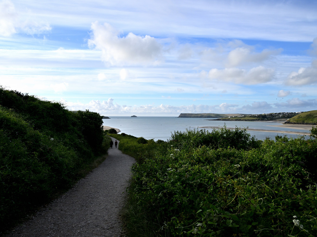 The Camel Trail-帕兹托必去景点