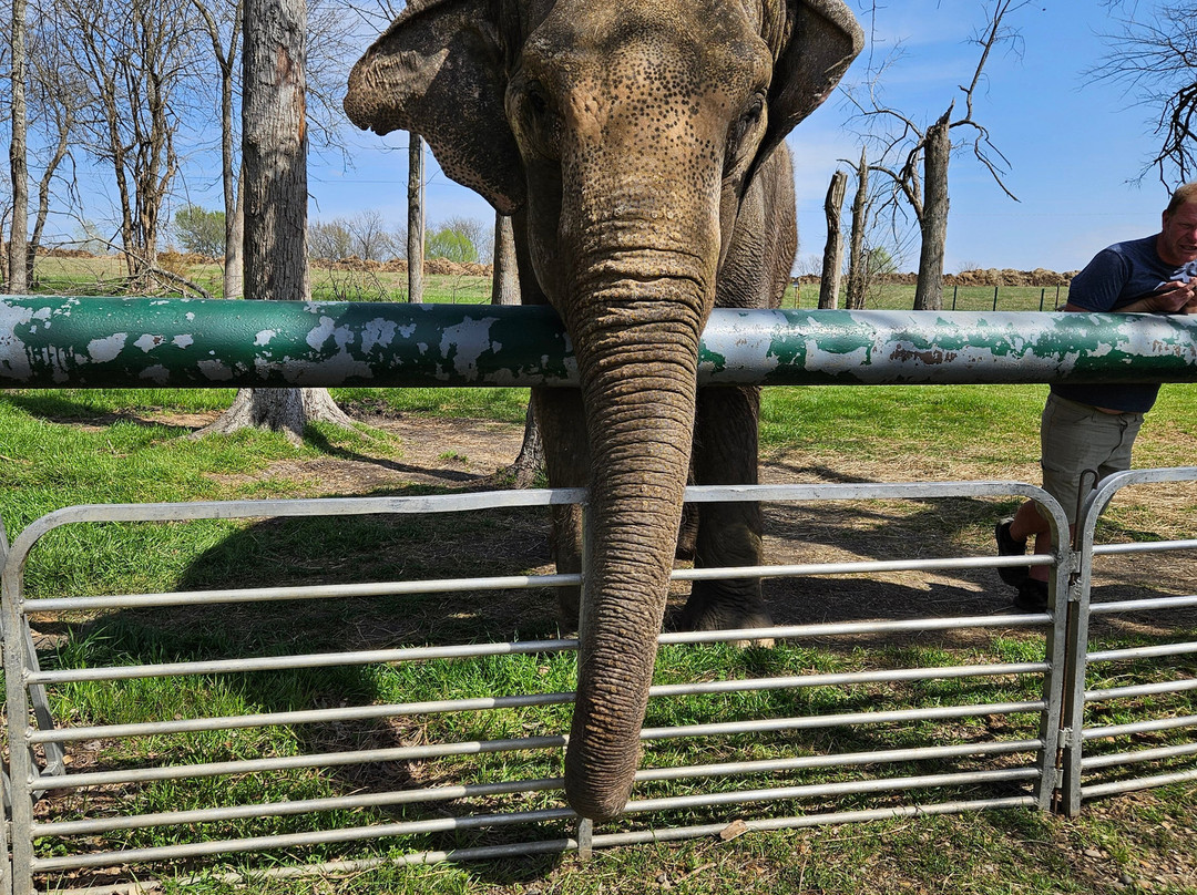The Endangered Ark Foundation-Hugo必去景点