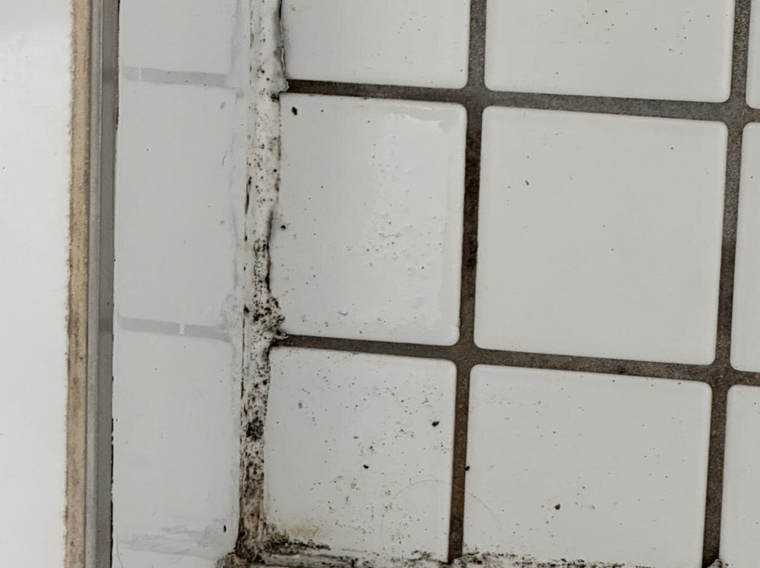 Sunseeker Motel主图