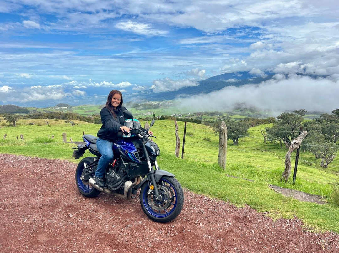 Kartel Scoot景点图片