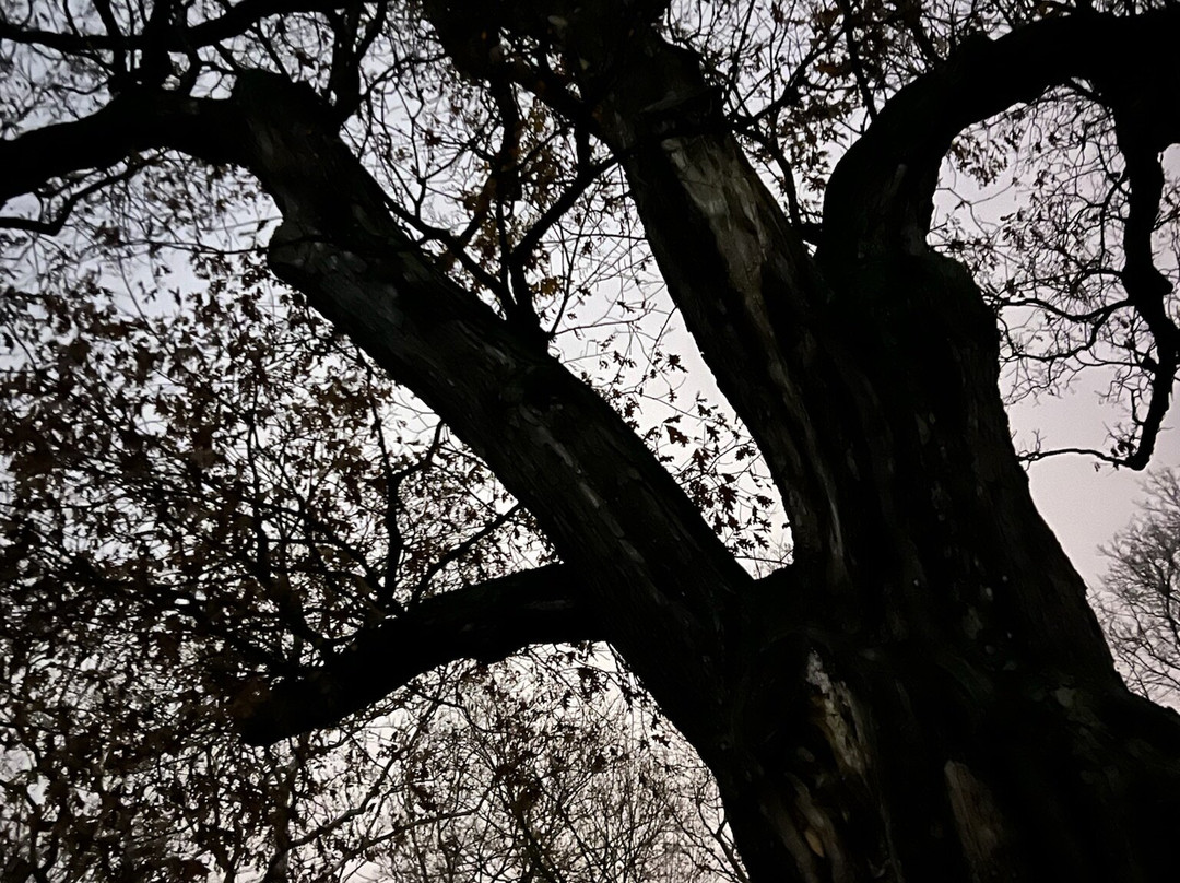 Westerville Walking Tours-韦斯特维尔必去景点