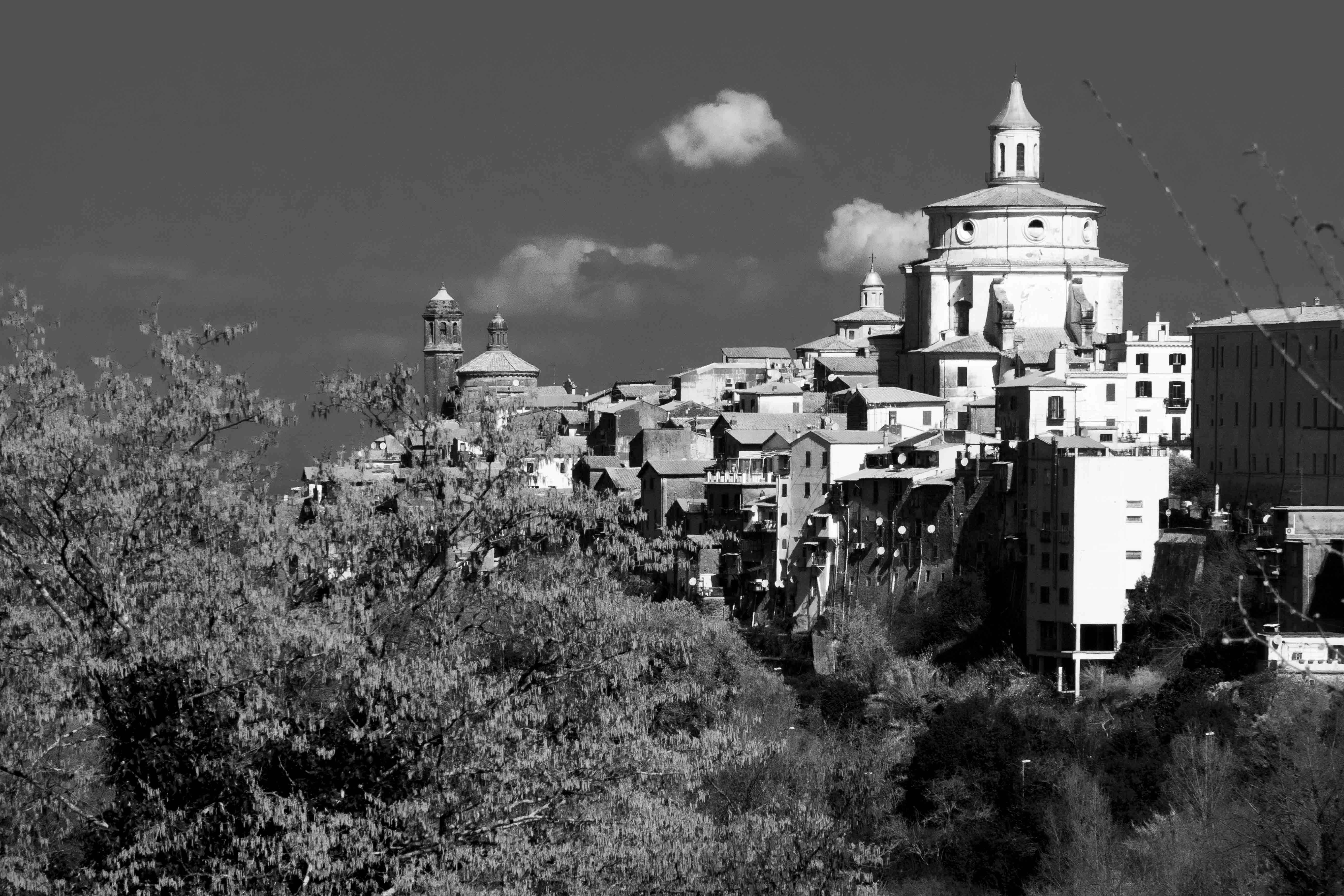 Olive Tree Hill B&B-官方