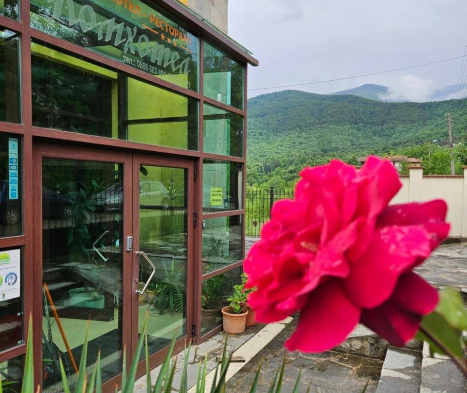 Family Hotel Komhotel