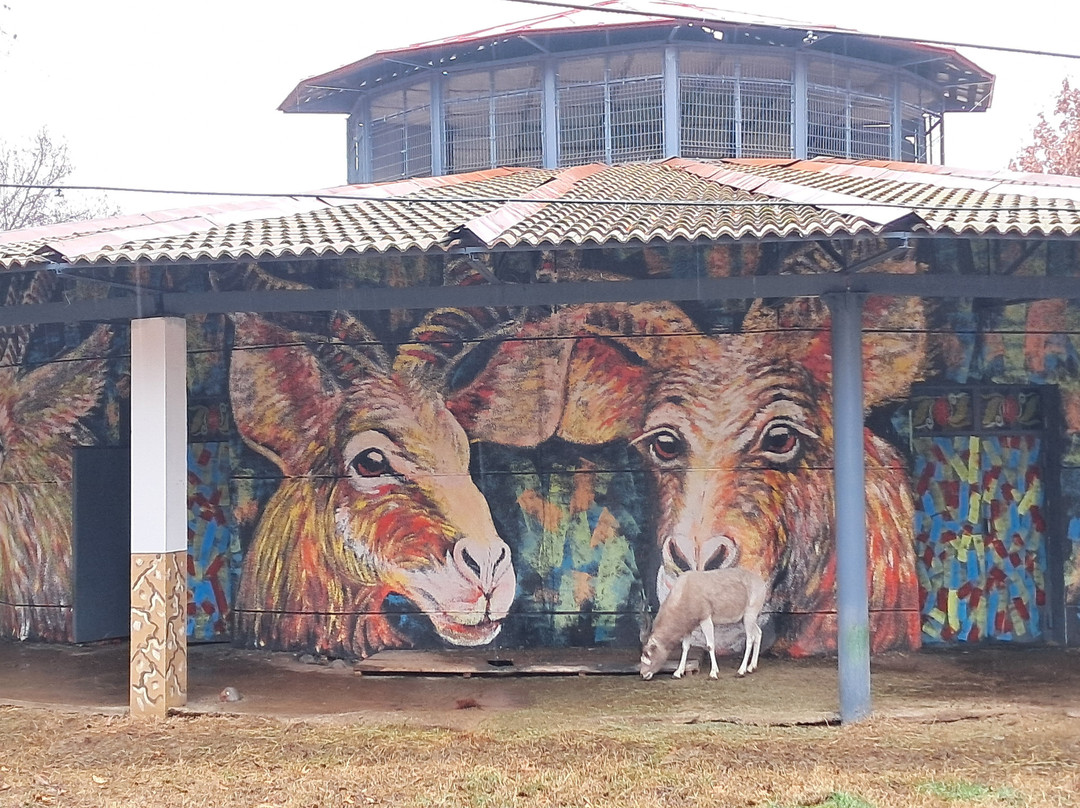 Tashkent Zoo-塔什干必去景点