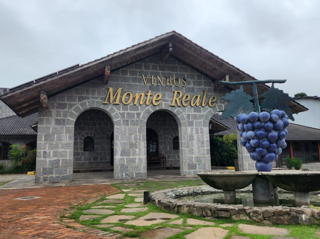 Vinicola Monte Reale景点图片