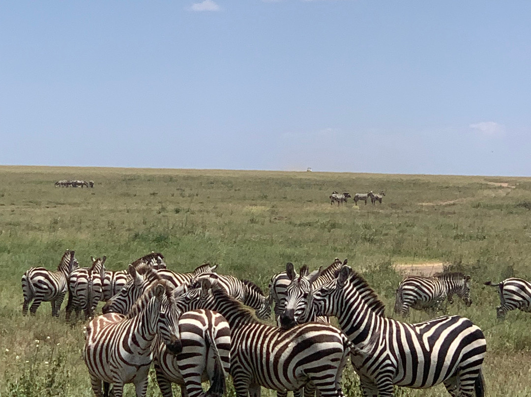 Nature Horizons Tours-纽约市必去景点