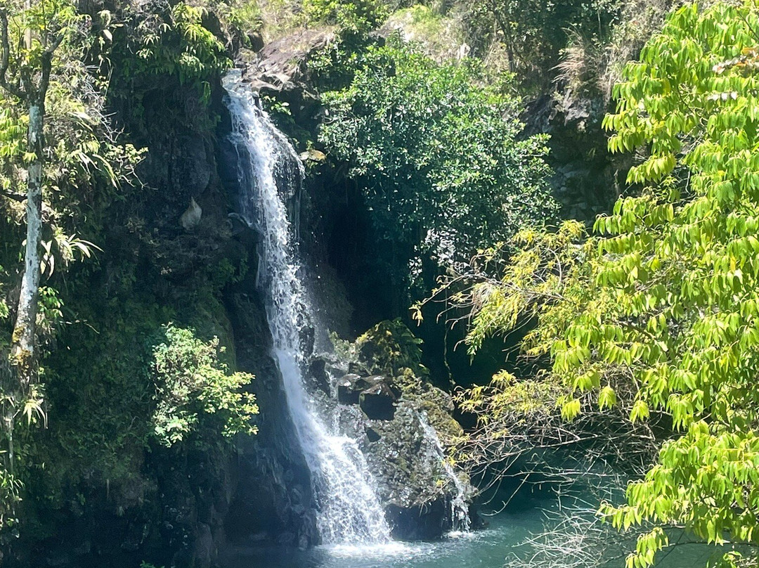 Hawaii Tours景点图片