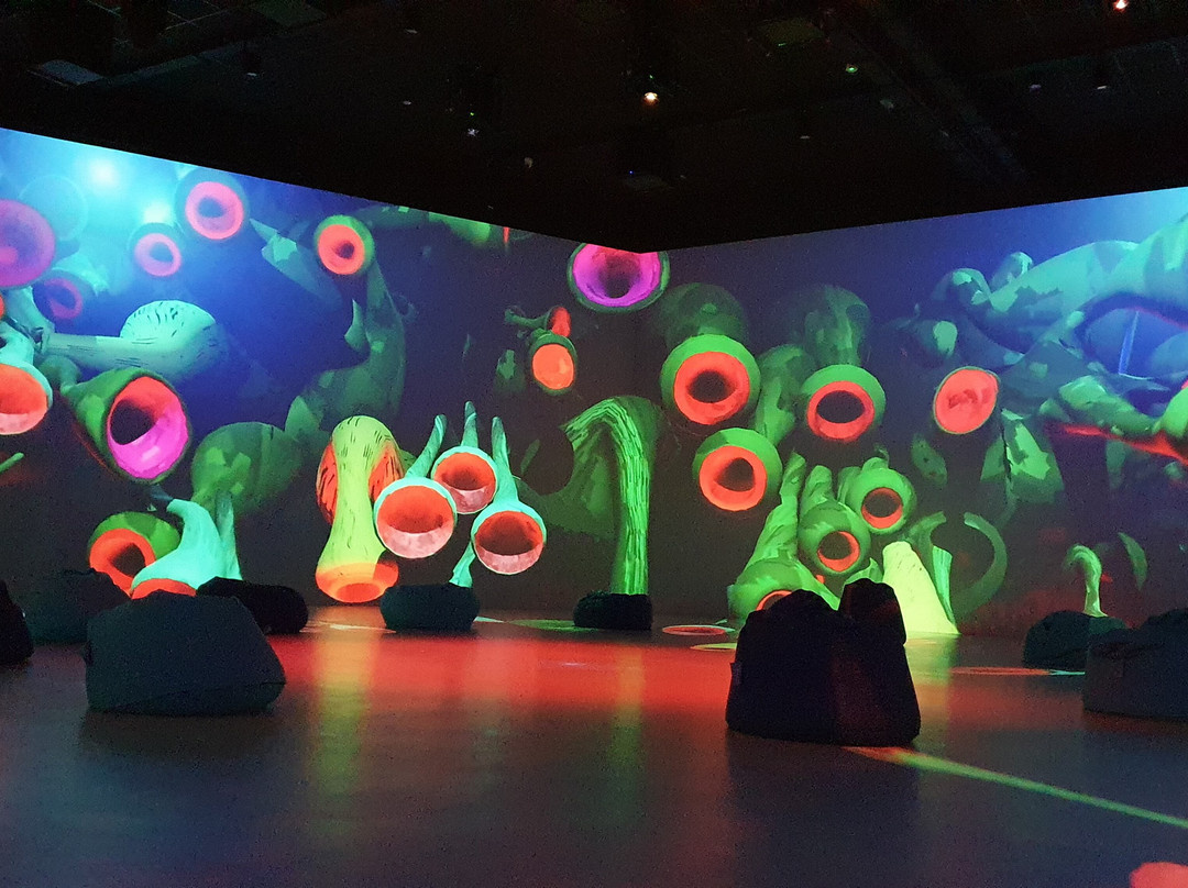 Center Of Digital Experience景点图片