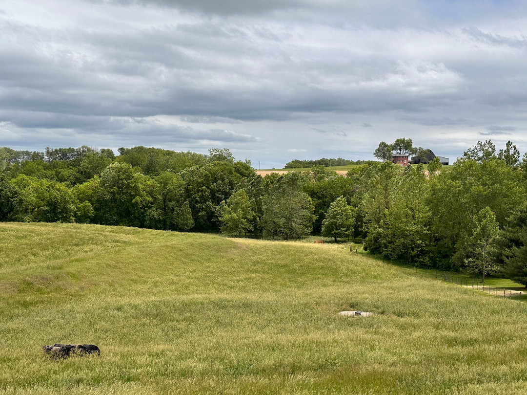 Holladay Distillery-Weston必去景点