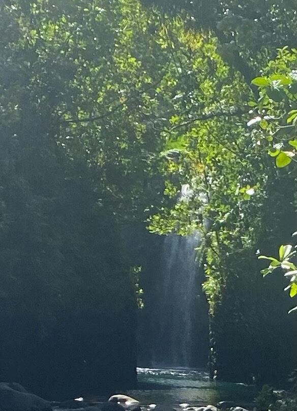 Lavena Coastal Walk-塔韦乌尼岛必去景点