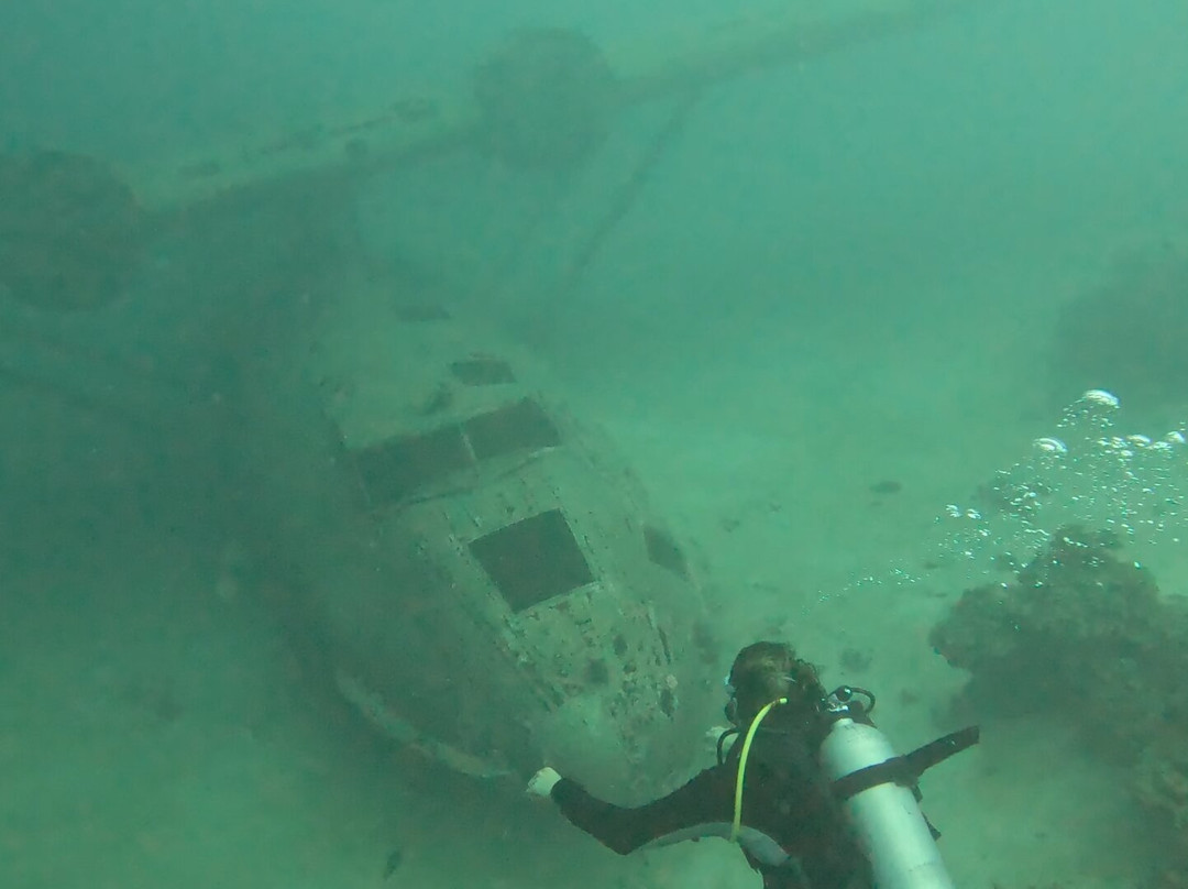 Dive and Sea Tahiti - Base nautique de Puna'auia景点图片