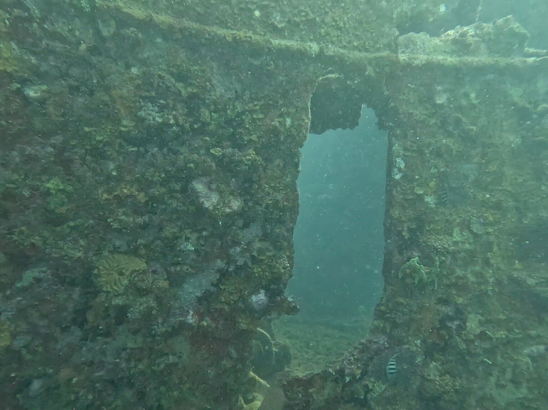 Scuba West Indies - Grenada景点图片