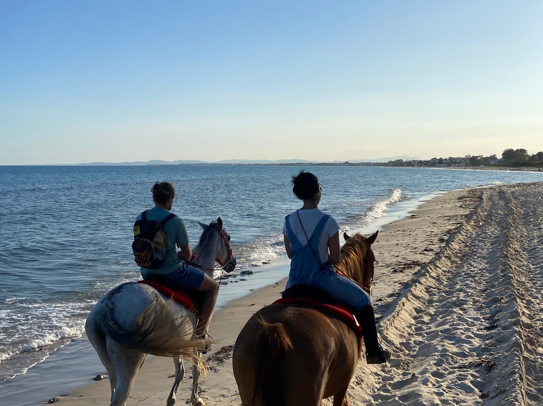 Club Equus Hammamet-哈玛麦德必去景点