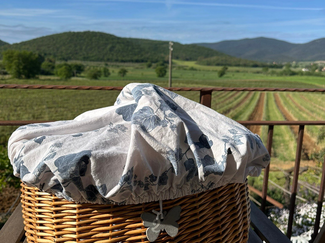 Poggiolivi Agriturismo Bio In Maremma主图
