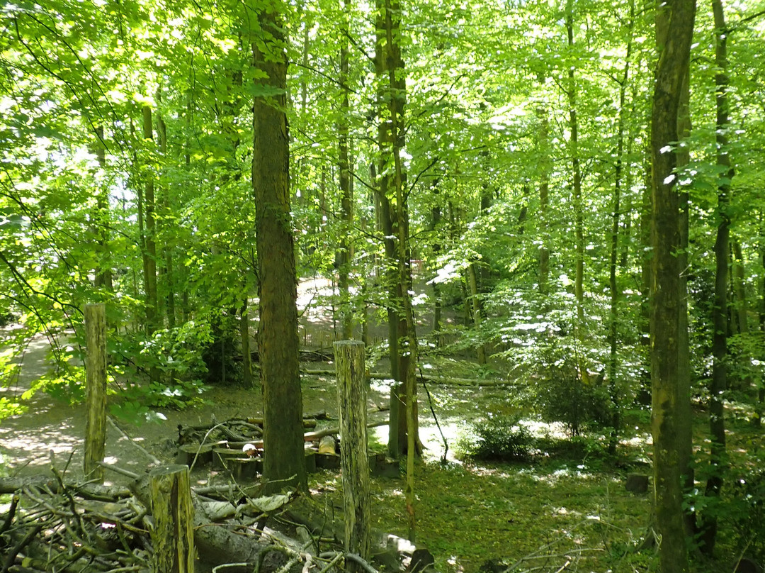 Parc Brugmann景点图片