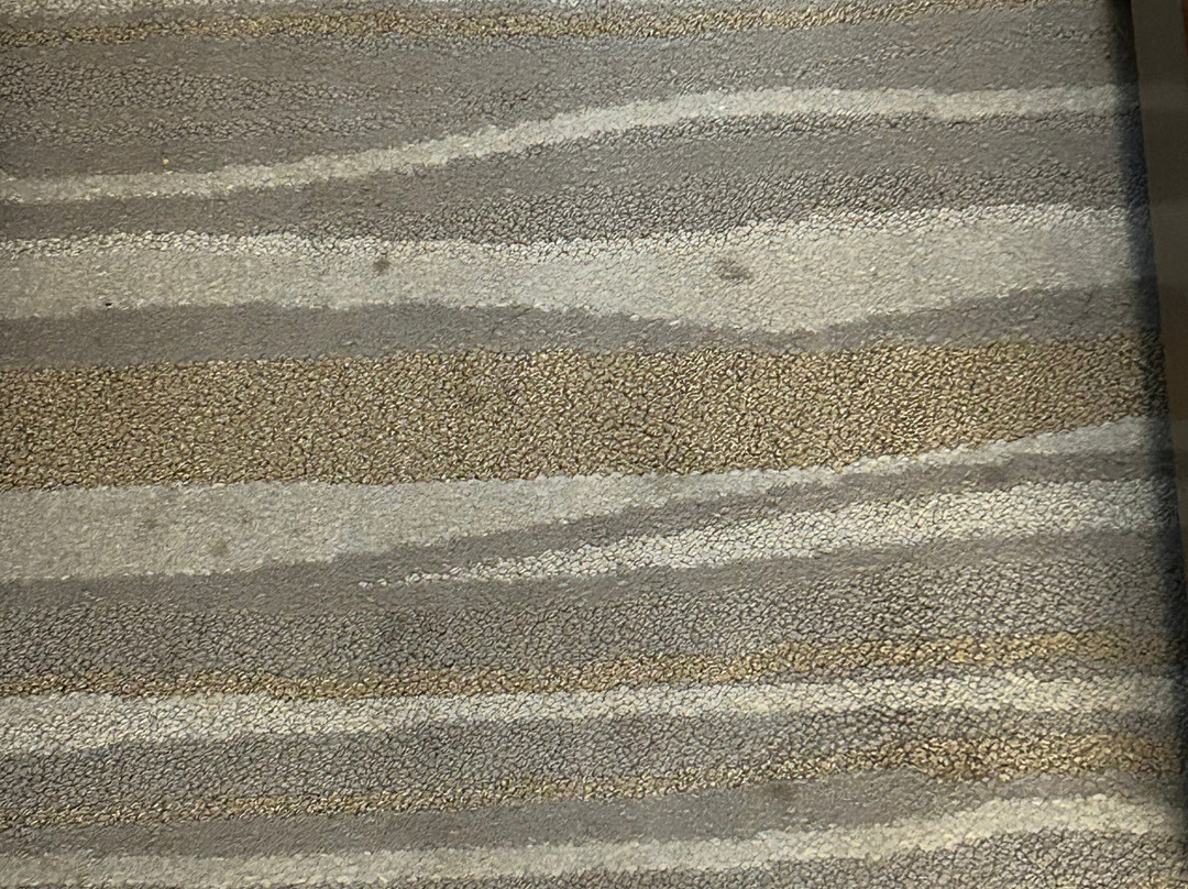 Staybridge Suites Summerville - Charleston Area by IHG主图