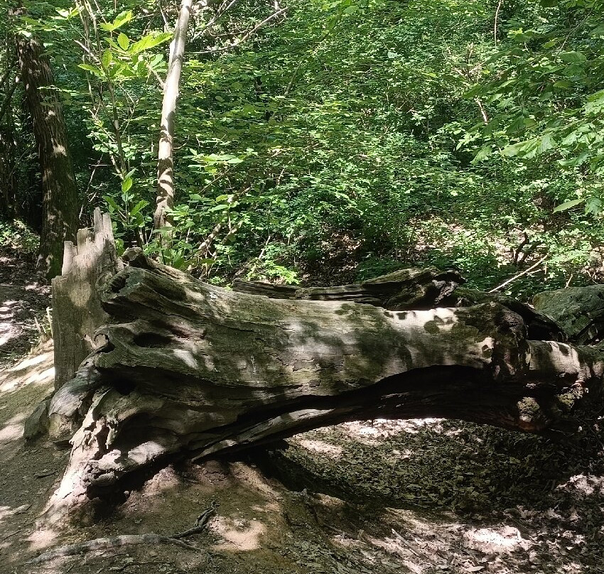 Cascata Schivanoia-Castelnuovo必去景点
