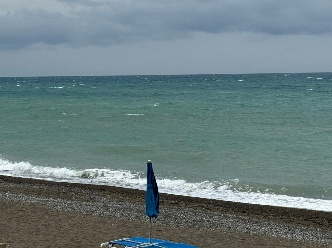 Pineta-Marina di Bibbona必去景点