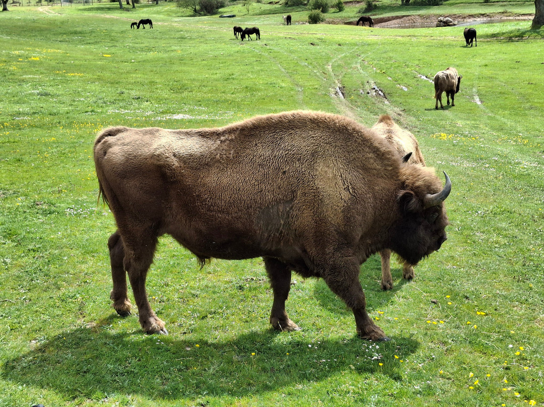 Paleolitico Vivo-布尔戈斯省必去景点