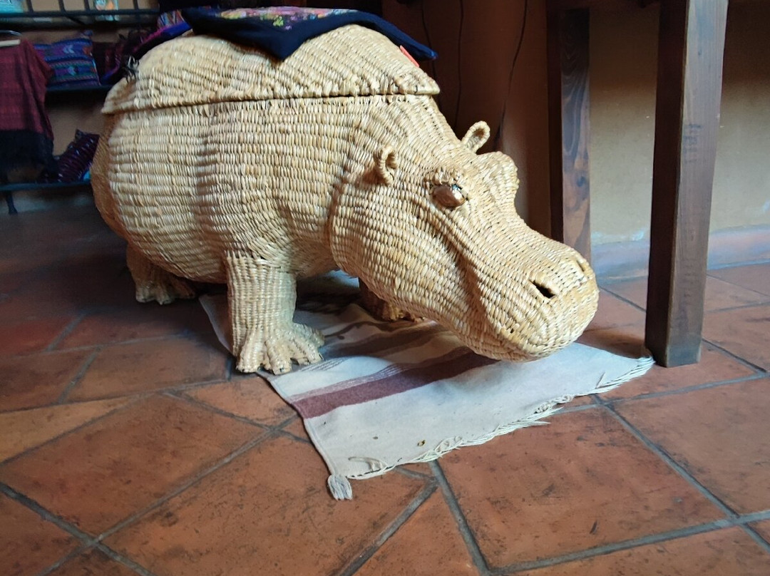 Hotel Posada Yolihuani主图