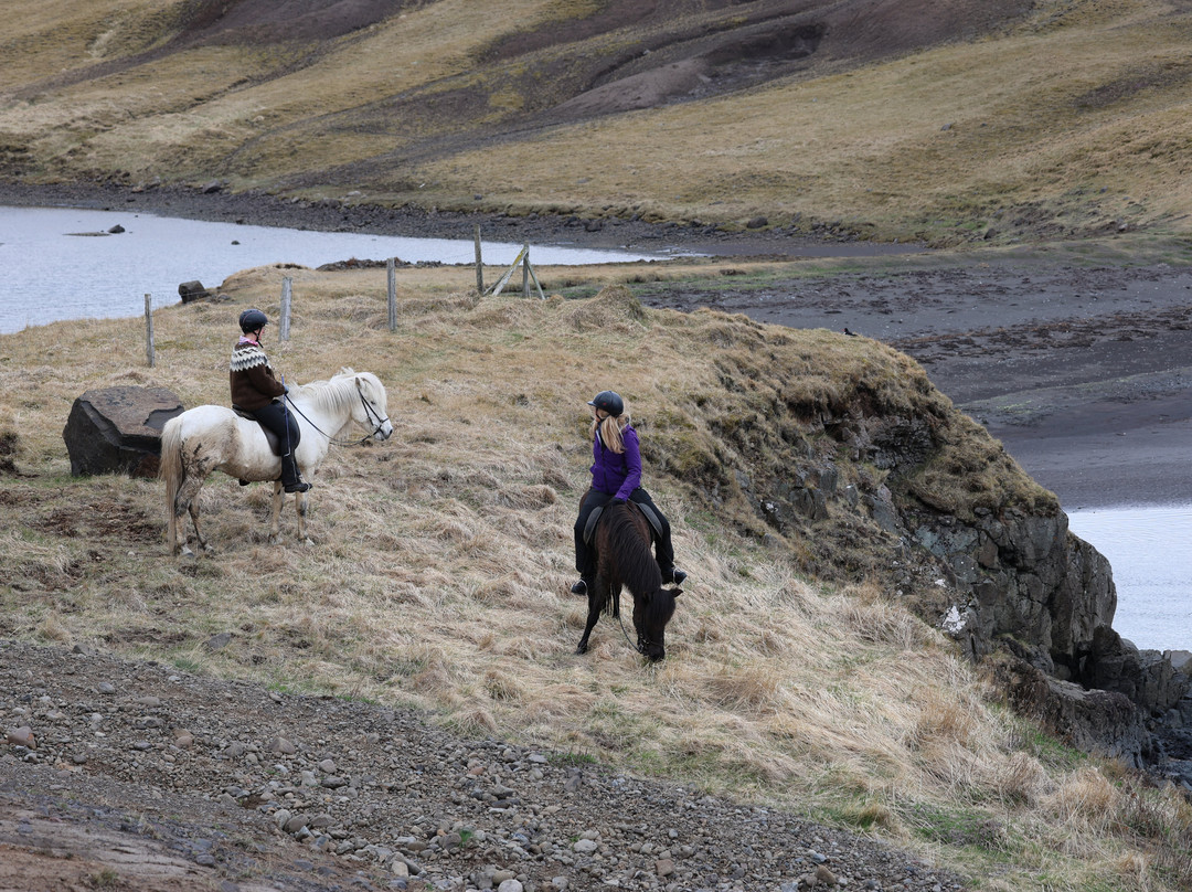 Dalahestar-布扎达吕尔必去景点