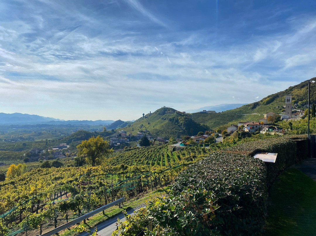 Agriturismo B&B Casa Bortolin主图