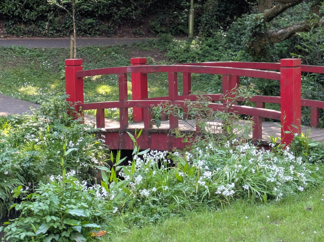 Coy Pond Gardens-普尔必去景点