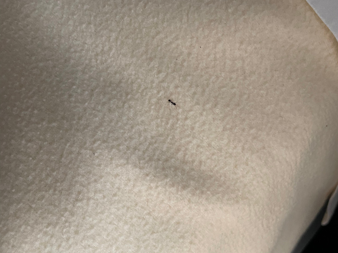 Lava Spa Motel & RV Park主图