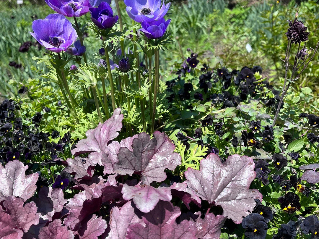 New England Botanic Garden at Tower Hill景点图片