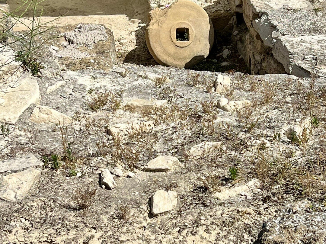 Idalion Archaeological Site-Dali必去景点