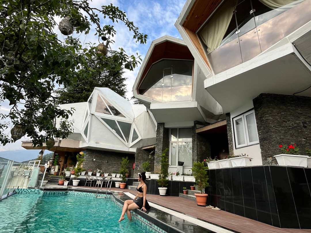 Tree of Life Eila Art Hotel, Manali主图