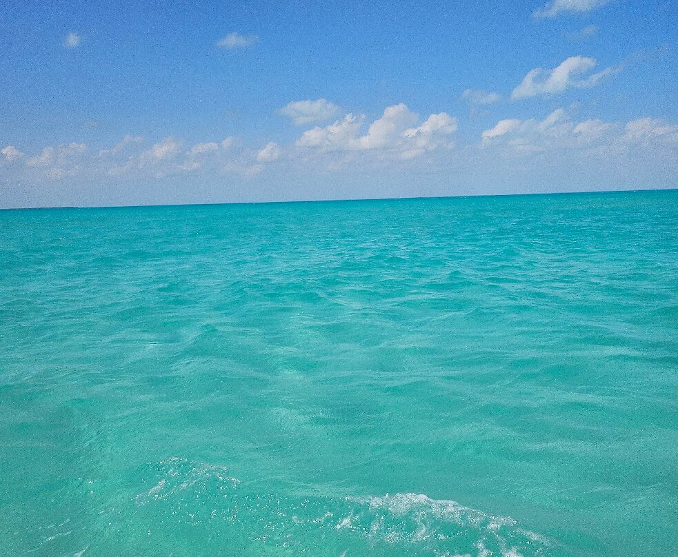 Isla Contoy National Park-Isla Contoy必去景点