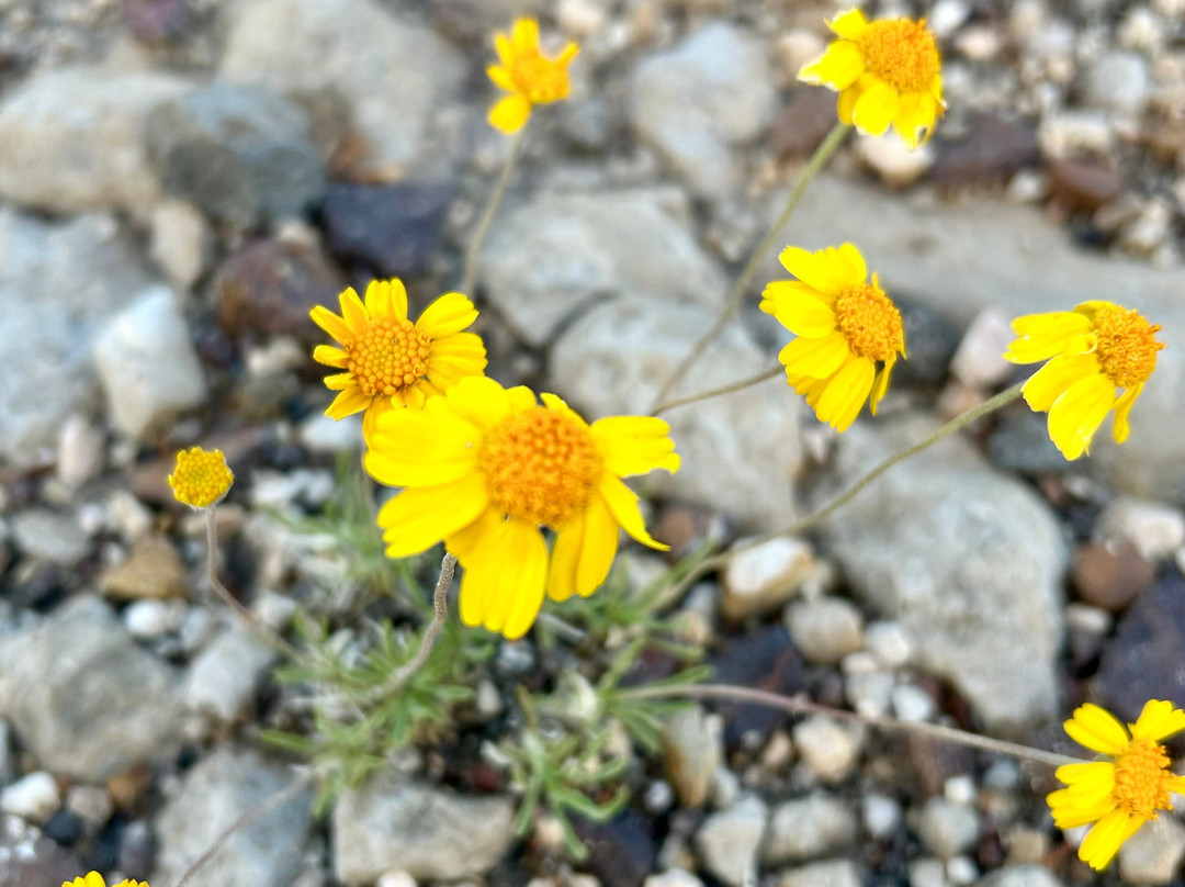 Clayton Lake State Park-Clayton必去景点