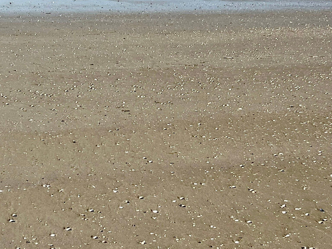 Plage de la Baule-拉博尔埃斯库布拉克必去景点