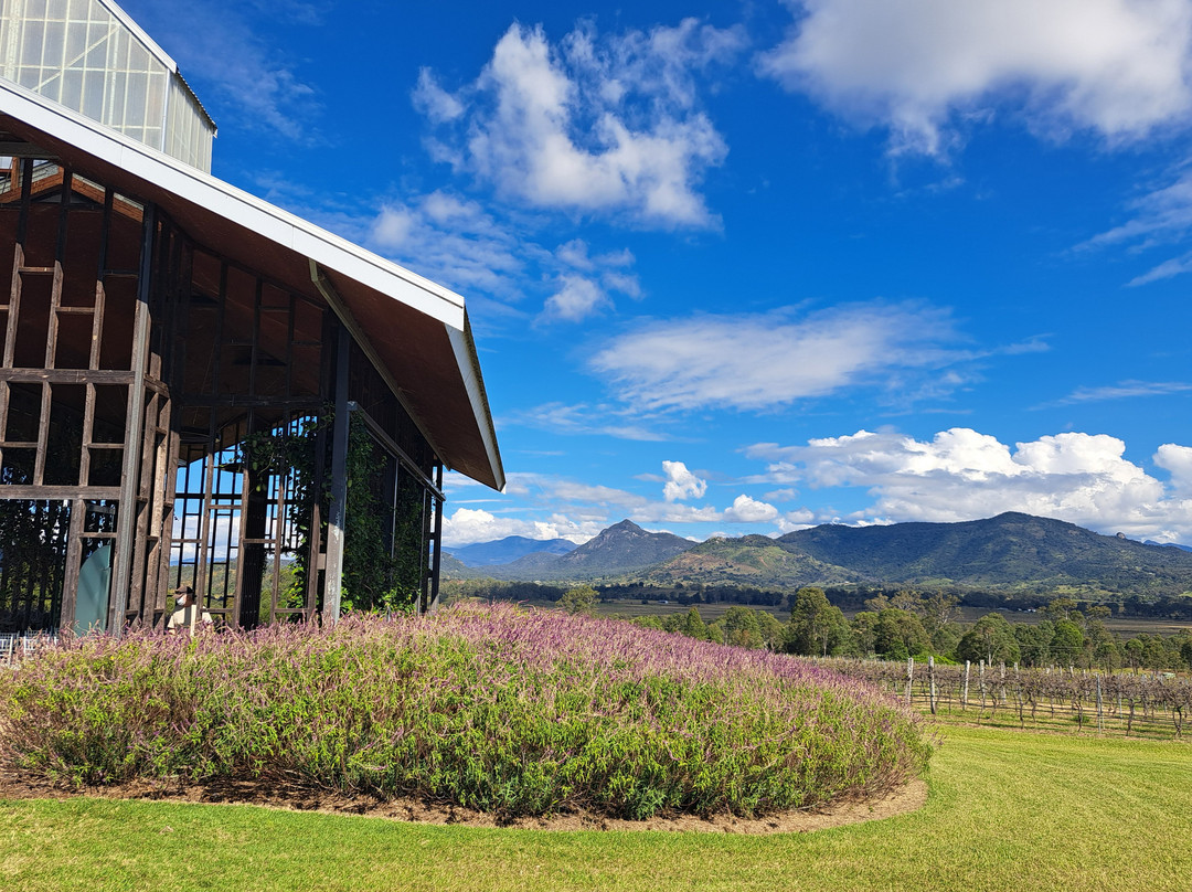 Kooroomba Vineyards and Lavender Farm-Mount Alford必去景点