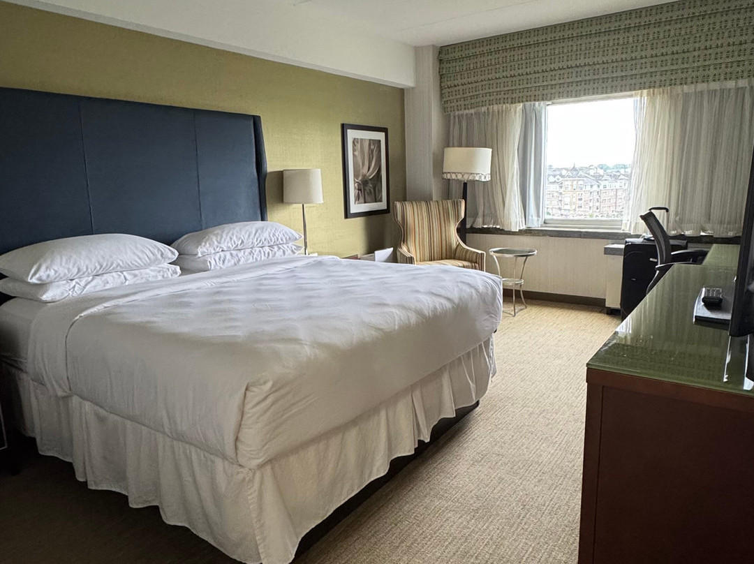 The Stamford Hotel主图