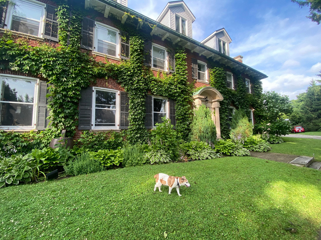 Clonmel Castle Luxury All-Inclusive Accommodations主图