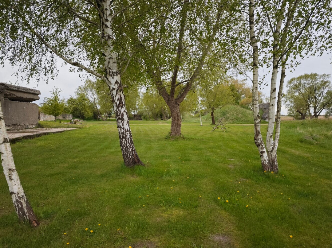 Camping Austrumu Forti