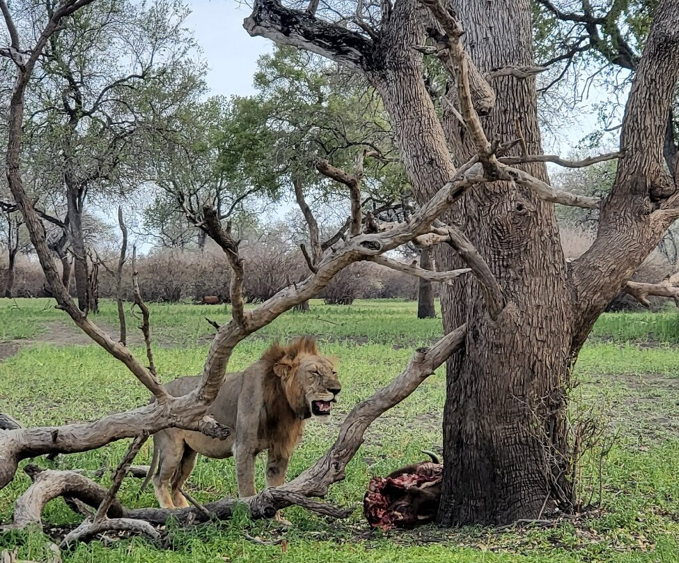 Mchaka Mchaka Tours-Mloka必去景点