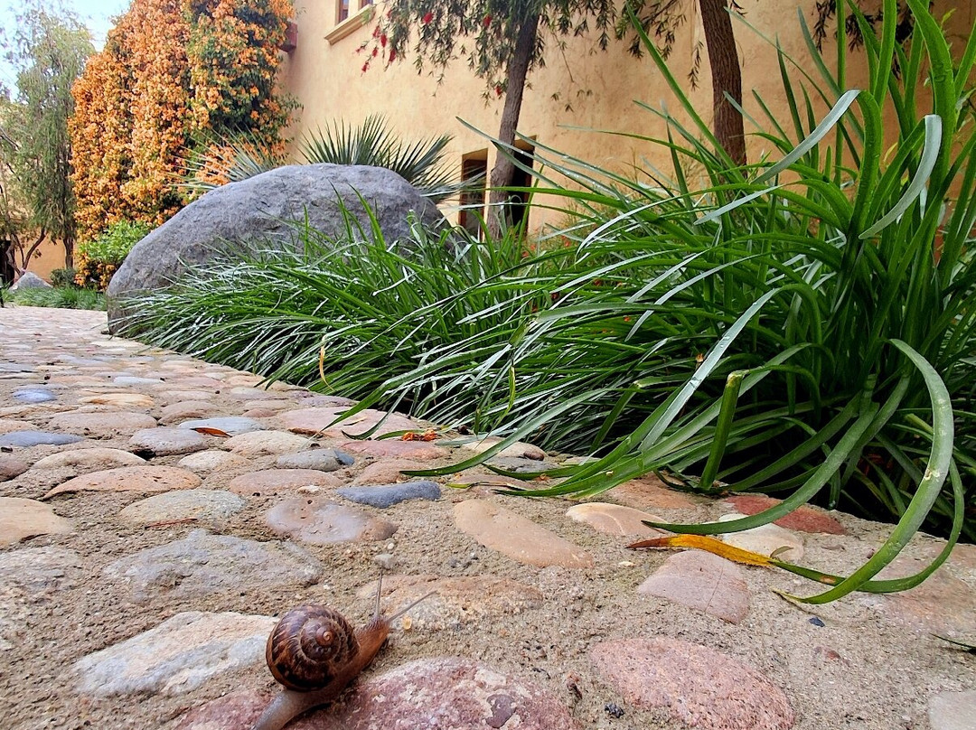 Santuario Diegueno Hotel Boutique主图